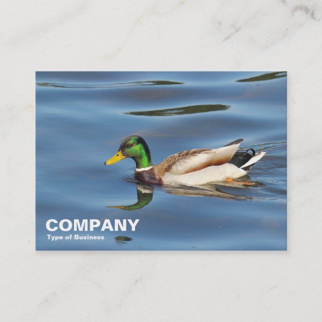 Carte De Visite Mallard Duck (Devant)