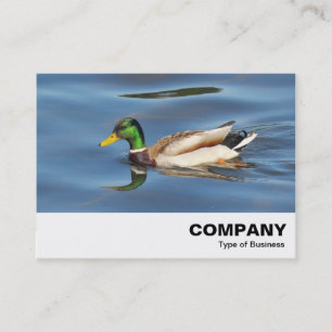 Carte De Visite Mallard Duck