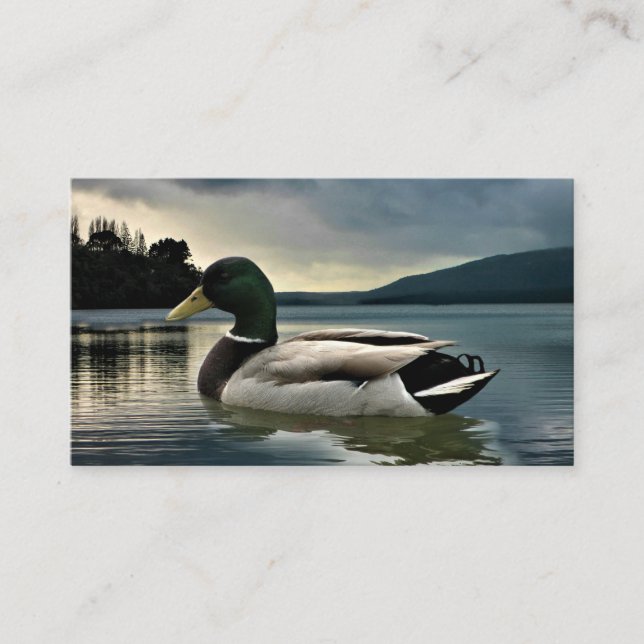 Carte De Visite Mallard Duck (Devant)