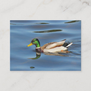 Carte De Visite Mallard Duck
