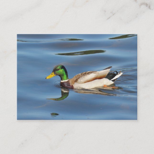 Carte De Visite Mallard Duck (Devant)