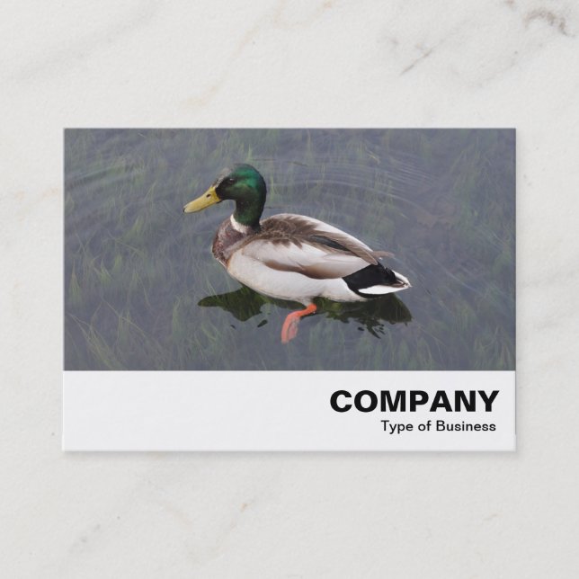 Carte De Visite Mallard Duck (Devant)