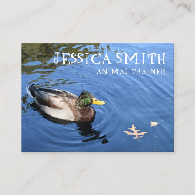 Carte De Visite Mallard Duck Bird Blue Water Nature Photographie (Devant)