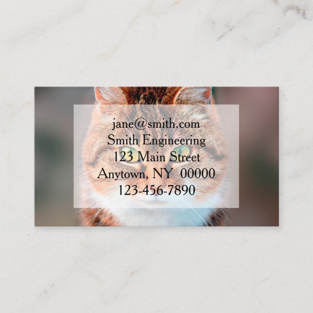 Carte De Visite Manx Chat Visage (Devant)
