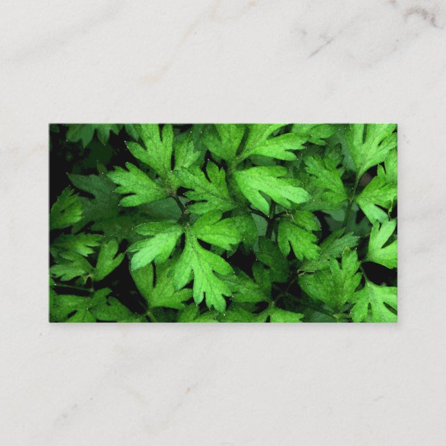 Carte De Visite Marché aux herbes fraîches (Devant)