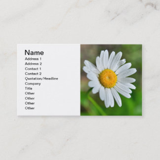 Carte De Visite Marguerite-fleur sauvage426 FLEUR SAUVAGE DAISY SP