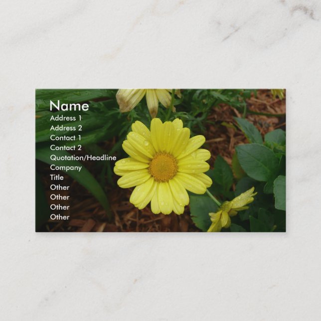 Carte De Visite Marguerite jaune (Devant)