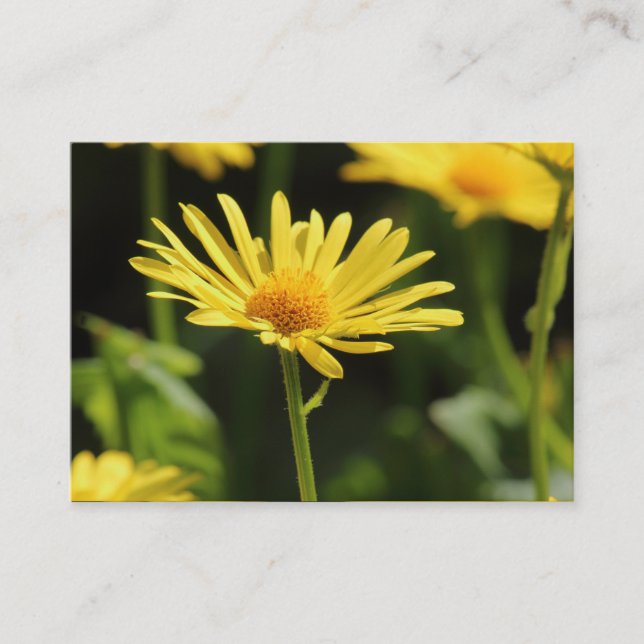 Carte De Visite ‎ marguerite jaune (Devant)