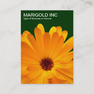 Carte De Visite Marigold orange - Vert foncé