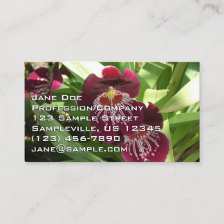 Carte De Visite Maroon Orchids II