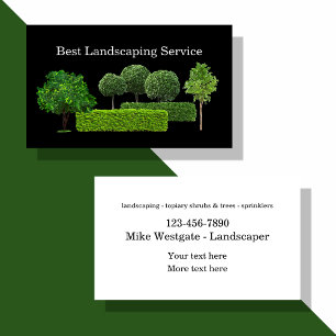Carte De Visite Meilleurs services d'aménagement paysager et de to