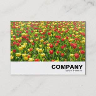 Carte De Visite Mer des Tulipes II