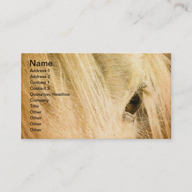 Carte De Visite Messy Mane (Devant)