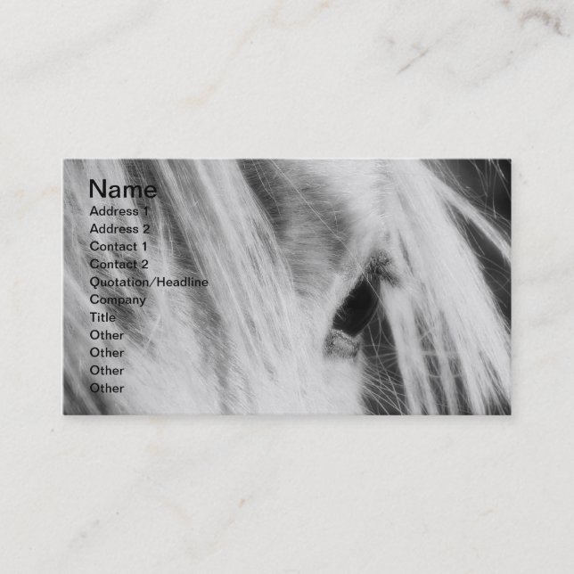 Carte De Visite Messy Mane Day noir et blanc (Devant)