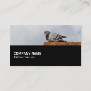 Carte De Visite Mi-chemin 0151 - Good Morning Pigeon