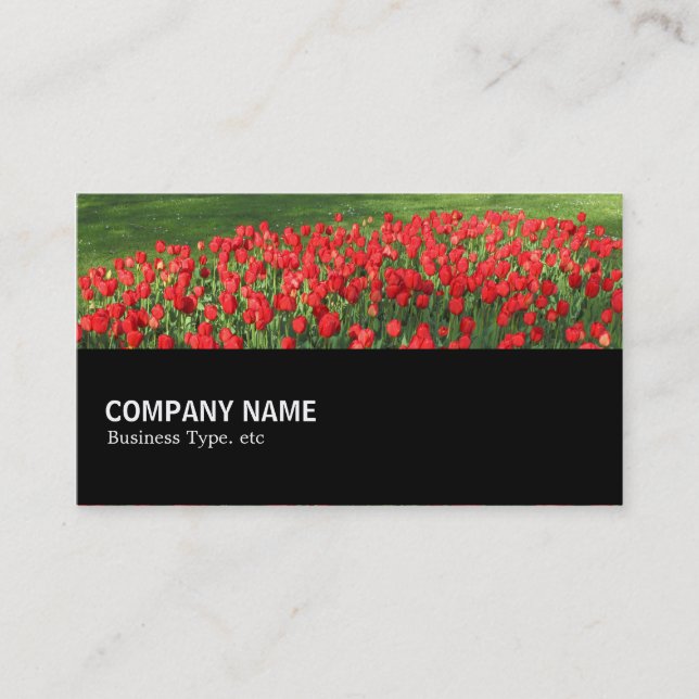 Carte De Visite Mi-chemin 0154 - Lit de Tulipes rouges 02 (Devant)