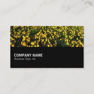 Carte De Visite Mi-chemin 044 - Crocus