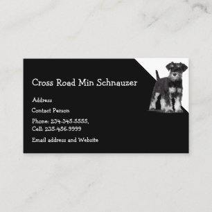 Carte De Visite Min Schnauzer Chien Animal animal de compagnie
