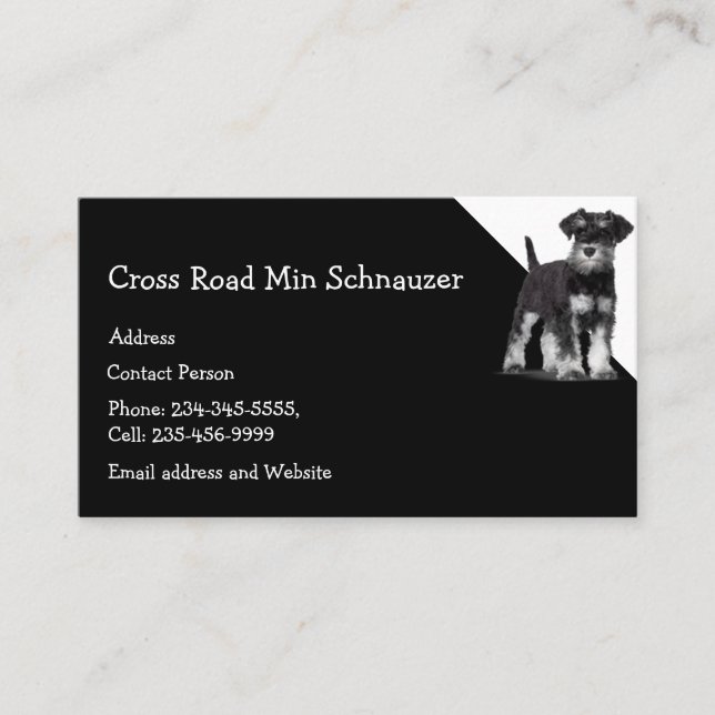 Carte De Visite Min Schnauzer Chien Animal animal de compagnie (Devant)
