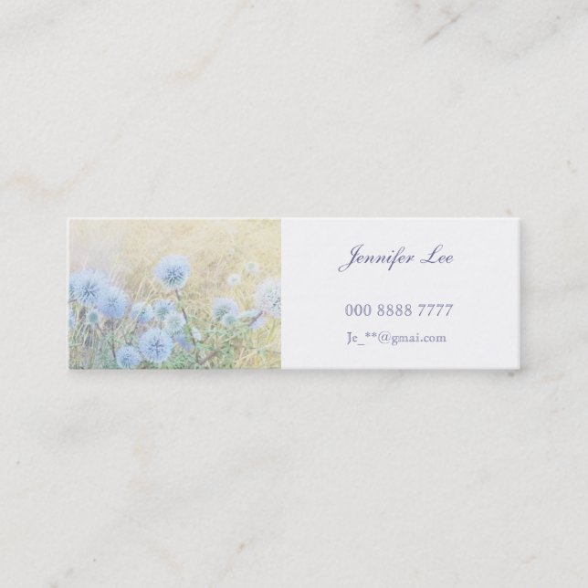 CARTE DE VISITE MINI 名刺 (Devant)
