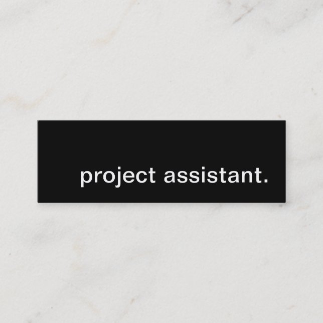 Carte De Visite Mini assistant de projet. (Devant)