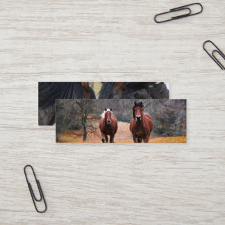 Carte De Visite Mini  Business Cards