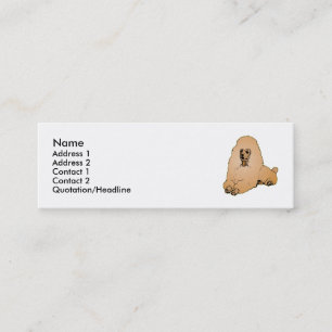 Carte De Visite Mini Caniche