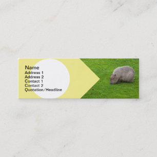 Carte De Visite Mini Capybara Animal Incroyable