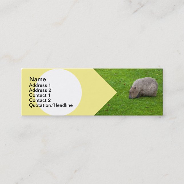 Carte De Visite Mini Capybara Animal Incroyable (Devant)