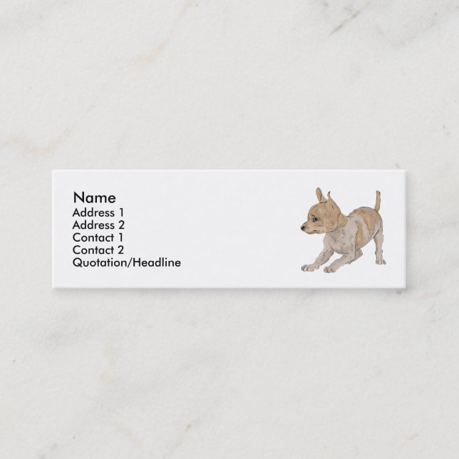 Carte De Visite Mini Chiwawa (Devant)