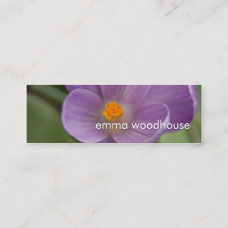 Carte De Visite Mini Crocus mauve PICT5930