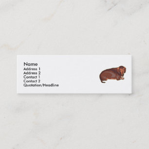 Carte De Visite Mini Dachshundnt