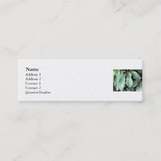 Carte De Visite Mini Feuilles de jardin