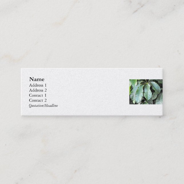 Carte De Visite Mini Feuilles de jardin (Devant)