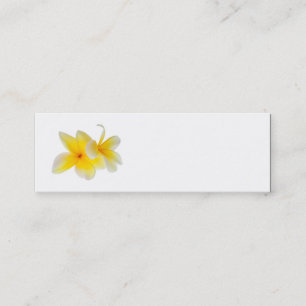 Carte De Visite Mini Fleurs de la plumeria Frangipani jaune blanc hawa