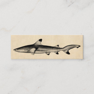 Carte De Visite Mini Illustration vintage de requin de récif - noir