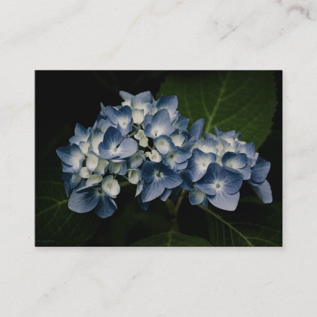 Carte De Visite Mini impression Blue Hydrangea 8514 (Devant)