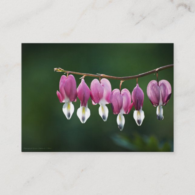 Carte De Visite Mini Impression Coeurs Dainty (Devant)