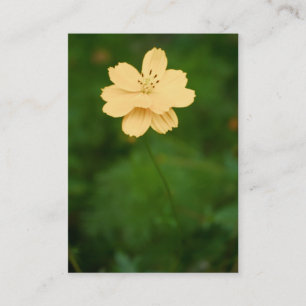 Carte De Visite Mini impression Harmonie pacifique
