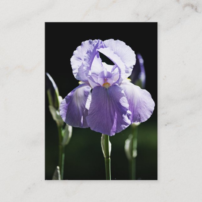Carte De Visite Mini impression Iris 8393 Violet (Devant)