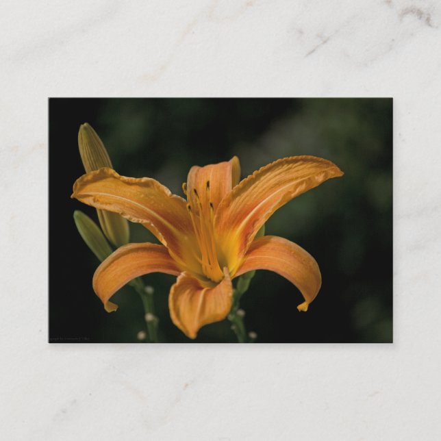 Carte De Visite Mini impression Jardin (Devant)