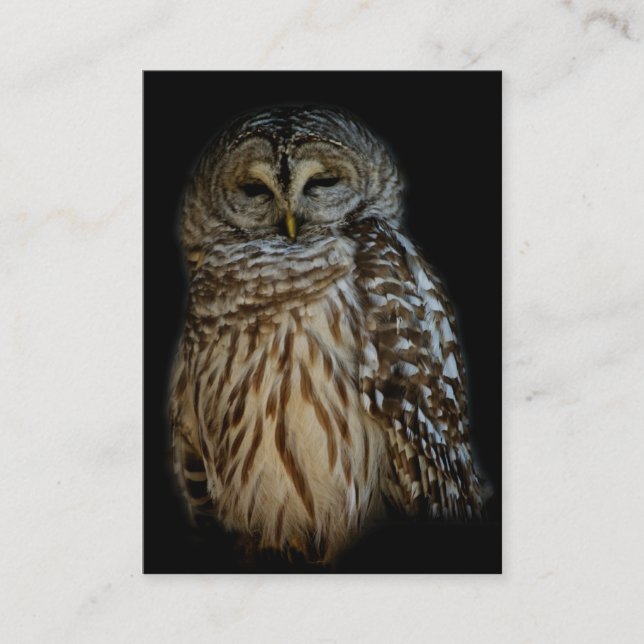 Carte De Visite Mini impression Sleepy Owl (Devant)