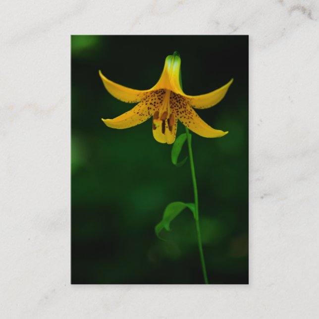 Carte De Visite Mini-impression Star Pose (Devant)