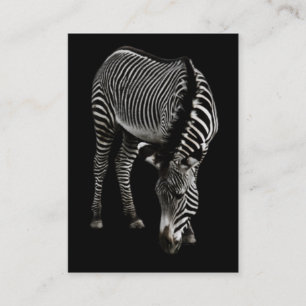 Carte De Visite Mini impression Zebra P4435