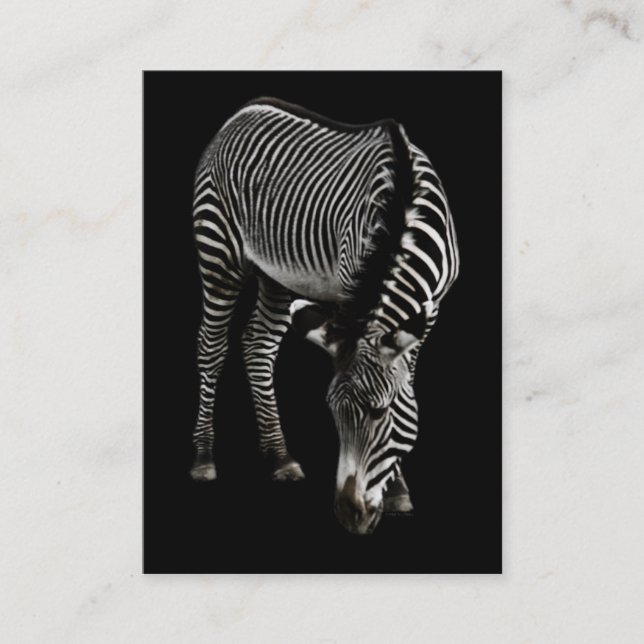 Carte De Visite Mini impression Zebra P4435 (Devant)