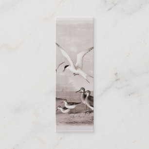 Carte De Visite Mini Les mouettes vintages ont customisé le rétro