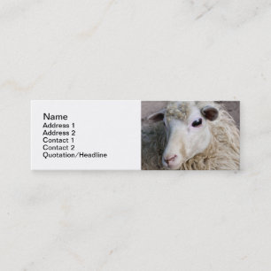 Carte De Visite Mini Mouton drôle