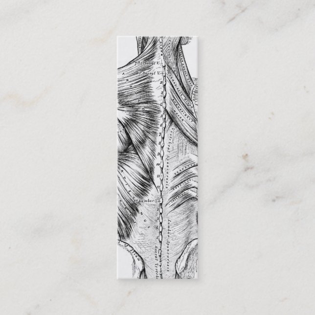 Carte De Visite Mini Muscles du dos d'art noir et blanc d'anatomie (Devant)