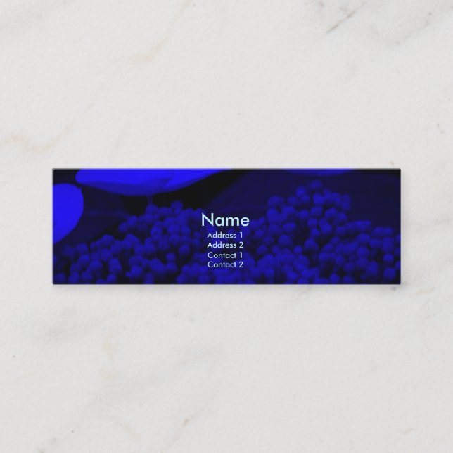 Carte De Visite Mini Nuit bleue H (Devant)