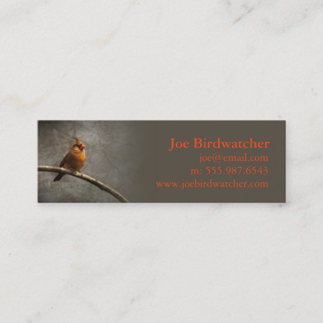 Carte De Visite Mini Objectif Birdwatcher (Devant)